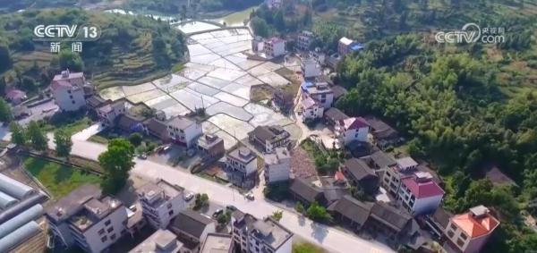 “直播+”赋能实体经济 新业态新场景开辟新领域“新赛道” “直播+”赋能实体经济 新业态新场景开辟新领域“新赛道”