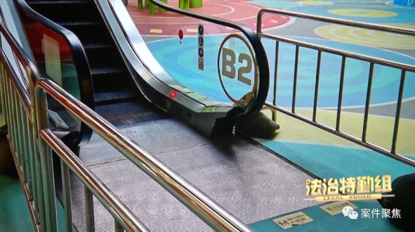 妈妈离开几秒女童被扶梯夹断手指,商场遭索赔5.7万!法院:不用赔 妈妈离开几秒女童被扶梯夹断手指,商场遭索赔5.7万!法院:不用赔