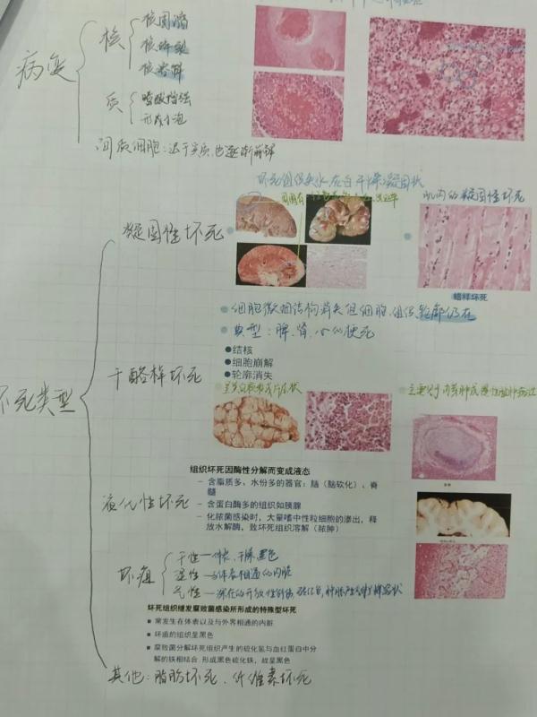 “最美笔记”惊艳无数网友！你重视笔记吗？精美笔记背后有哪些优秀学习品质？