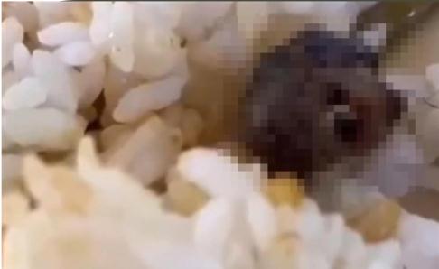 罚706万元!江西“鼠头鸭脖”事件后续来了:食堂多次吃出虫鼠异物 罚706万元!江西“鼠头鸭脖”事件后续来了:食堂多次吃出虫鼠异物