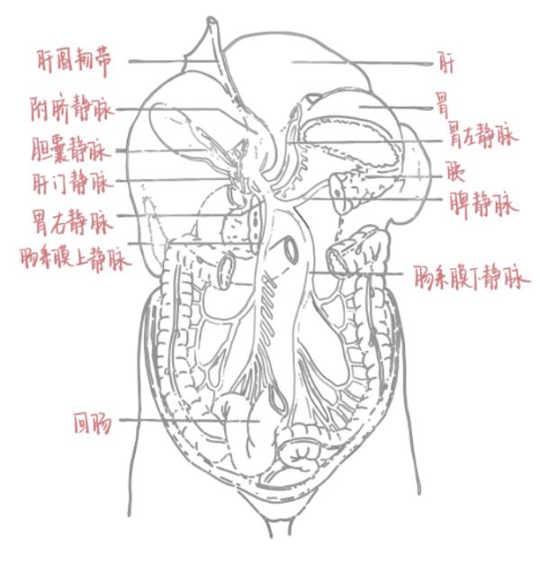 “最美笔记”惊艳无数网友！你重视笔记吗？精美笔记背后有哪些优秀学习品质？