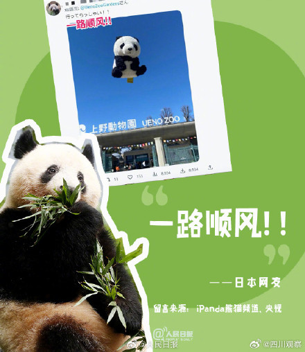 想和熊猫宝宝抱抱贴贴