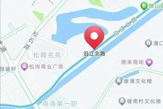 佛山多镇街官宣！2024年迎春花市来了→