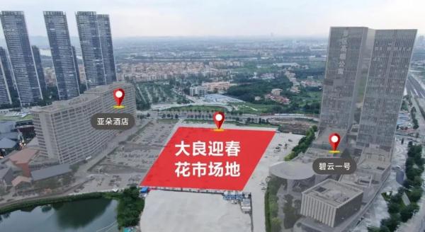 佛山多镇街官宣！2024年迎春花市来了→