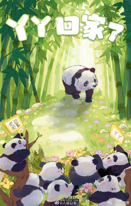 想和熊猫宝宝抱抱贴贴