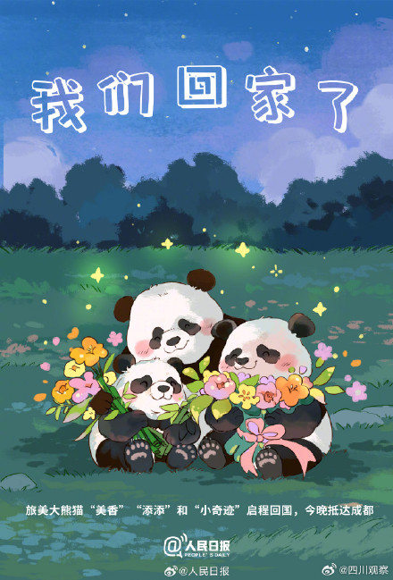 想和熊猫宝宝抱抱贴贴