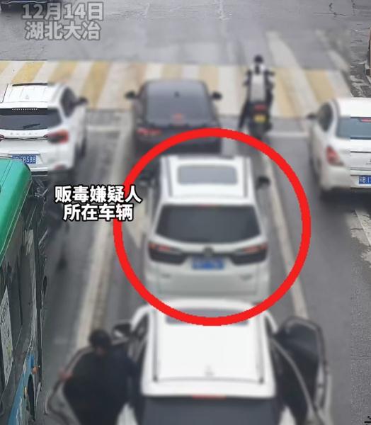 拦停！围堵！破窗！真实缉毒抓捕，现场直击！