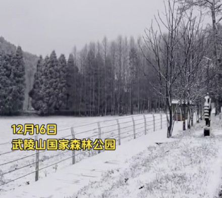 仙女山金佛山下雪啦！银装素裹宛如童话世界