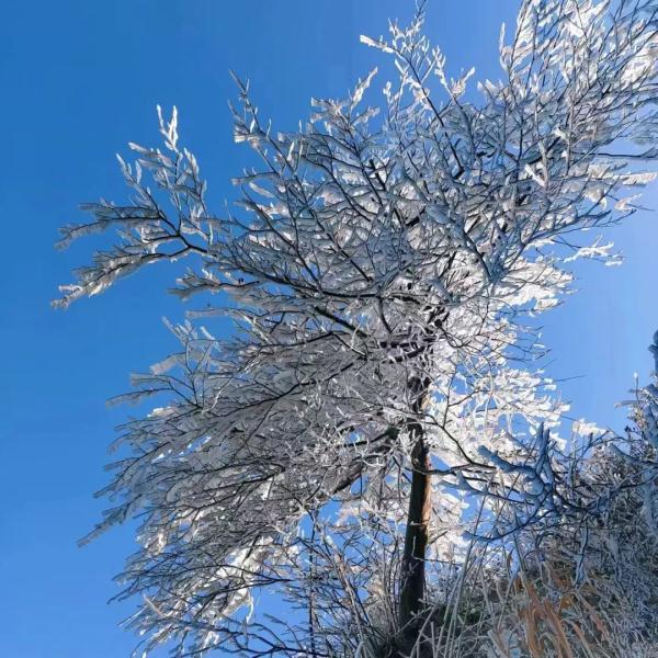 最高级别寒潮预警!武汉未来三天...... 最高级别寒潮预警!武汉未来三天......