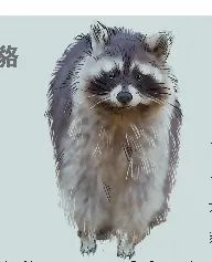 是什么上海神奇动物？为了它们花费千万，大项目停工两年