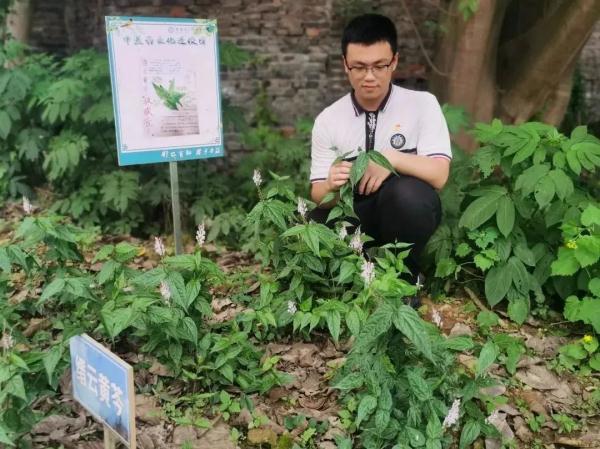 这位男孩“不得了”！近十年发现18个重庆物种新记录