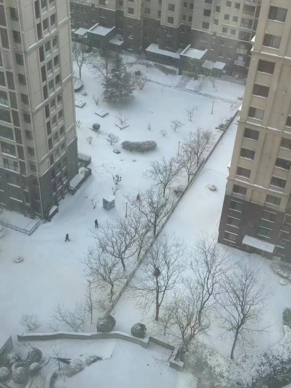 “山舞银蛇，原驰蜡象”！《沁园春·雪》在烟台！