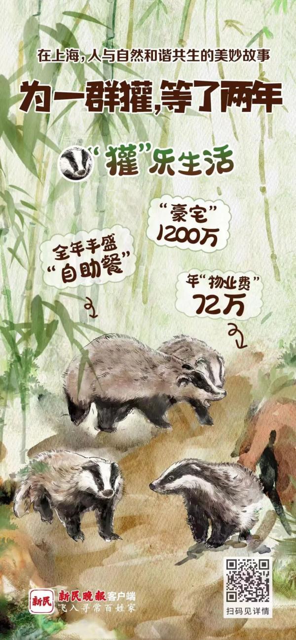 是什么上海神奇动物？为了它们花费千万，大项目停工两年
