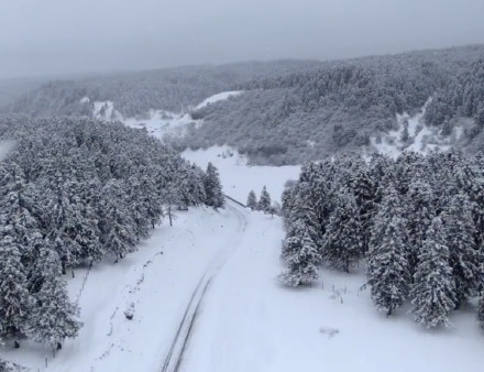 仙女山金佛山下雪啦！银装素裹宛如童话世界
