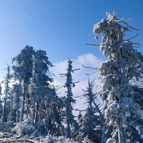最高级别寒潮预警!武汉未来三天...... 最高级别寒潮预警!武汉未来三天......