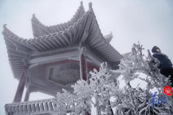 真的实现了!广东下雪了! 真的实现了!广东下雪了!