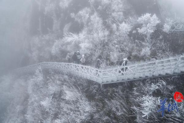 真的实现了!广东下雪了! 真的实现了!广东下雪了!