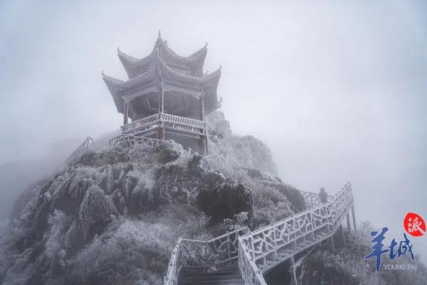 真的实现了!广东下雪了! 真的实现了!广东下雪了!