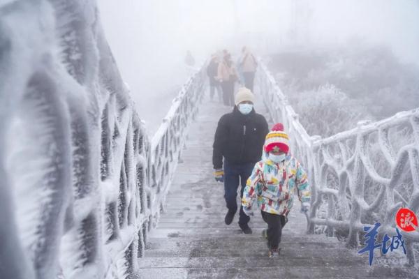 真的实现了!广东下雪了! 真的实现了!广东下雪了!