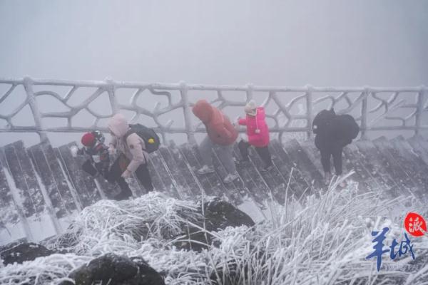 真的实现了!广东下雪了! 真的实现了!广东下雪了!