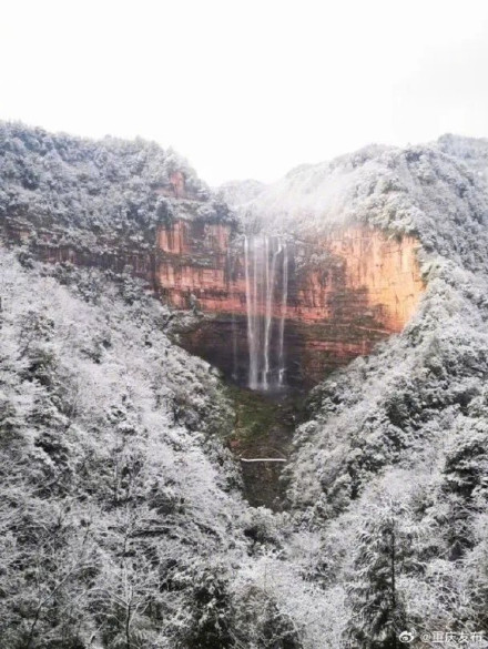 仙女山金佛山下雪啦！银装素裹宛如童话世界