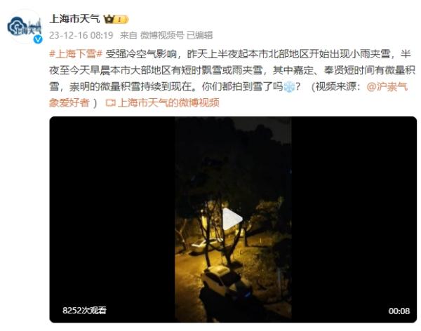 听说上海真的下雪了！你们拍到了吗？