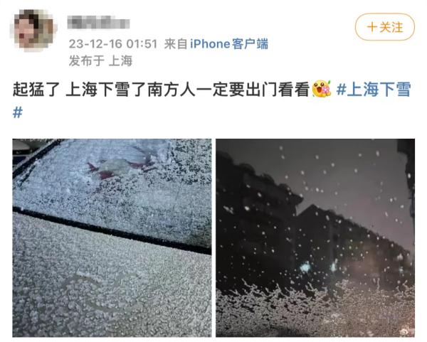 “上海下雪”冲上热搜！今日风力强劲寒冷升级