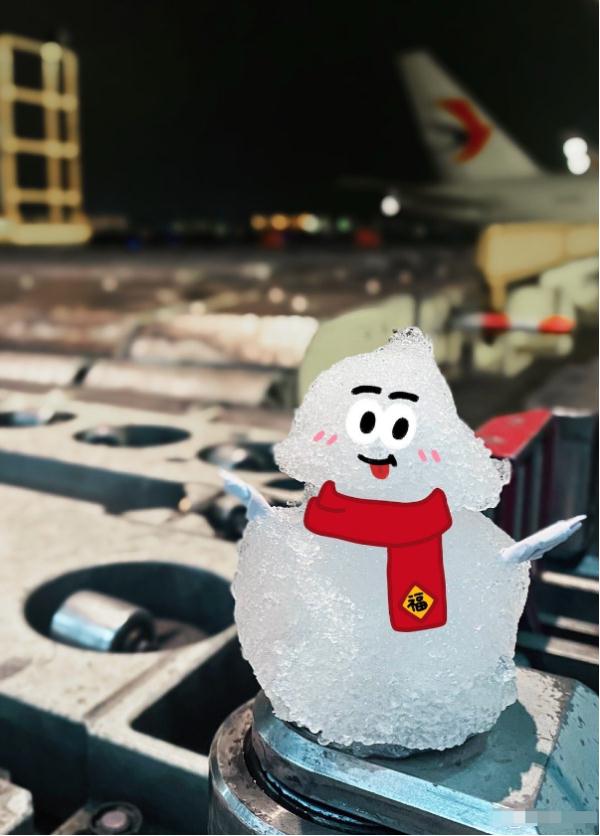 听说上海真的下雪了！你们拍到了吗？