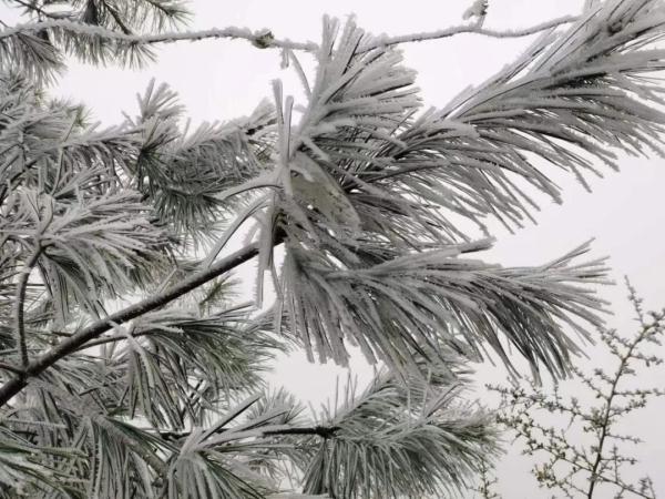 多地出现凝冻天气，气温持续下降，地势高处伴有道路结冰，请注意防范！