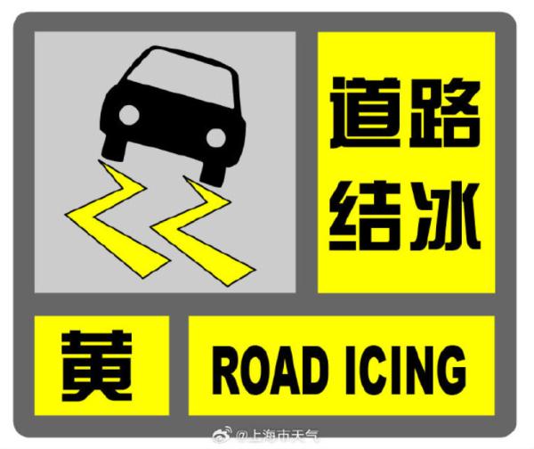 听说上海真的下雪了！你们拍到了吗？