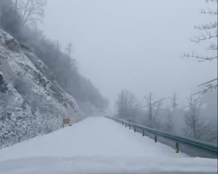 仙女山金佛山下雪啦！银装素裹宛如童话世界