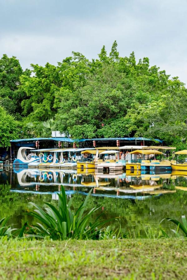 广州小众海景游玩路线！地铁直达山顶看海