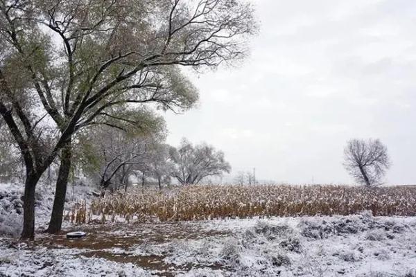 冬天取暖忽略这些小细节,小心“惹火”上身! 冬天取暖忽略这些小细节,小心“惹火”上身!