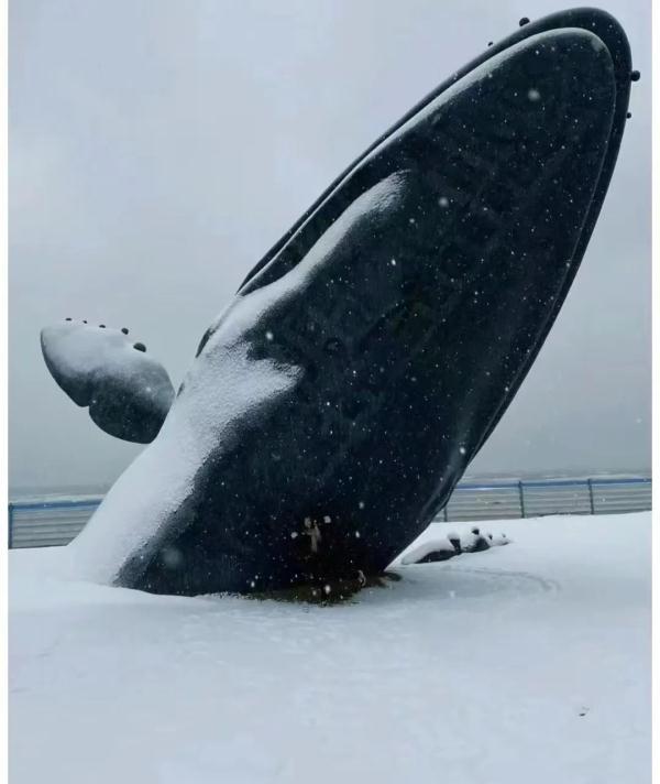 “山舞银蛇，原驰蜡象”！《沁园春·雪》在烟台！