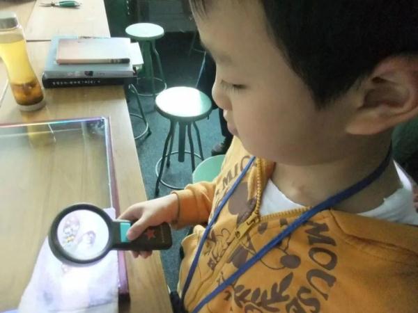 这位男孩“不得了”！近十年发现18个重庆物种新记录