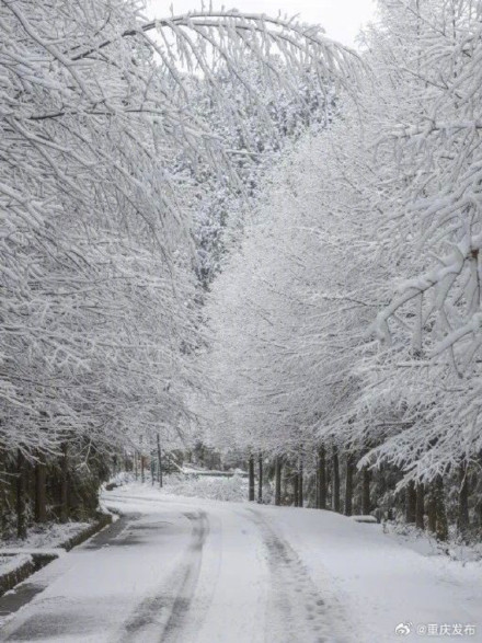 仙女山金佛山下雪啦！银装素裹宛如童话世界