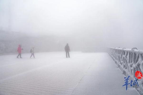 真的实现了!广东下雪了! 真的实现了!广东下雪了!