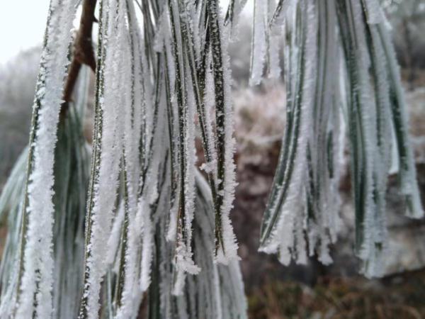多地出现凝冻天气，气温持续下降，地势高处伴有道路结冰，请注意防范！