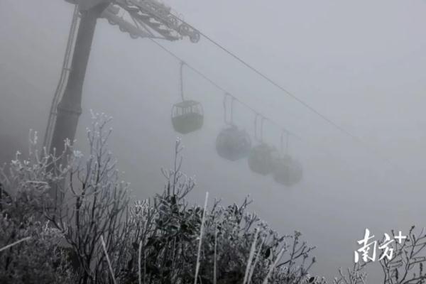 一夜入“冬”!广东下雪了!深圳开启“速冻”模式,最低气温将达个位数 一夜入“冬”!广东下雪了!深圳开启“速冻”模式,最低气温将达个位数