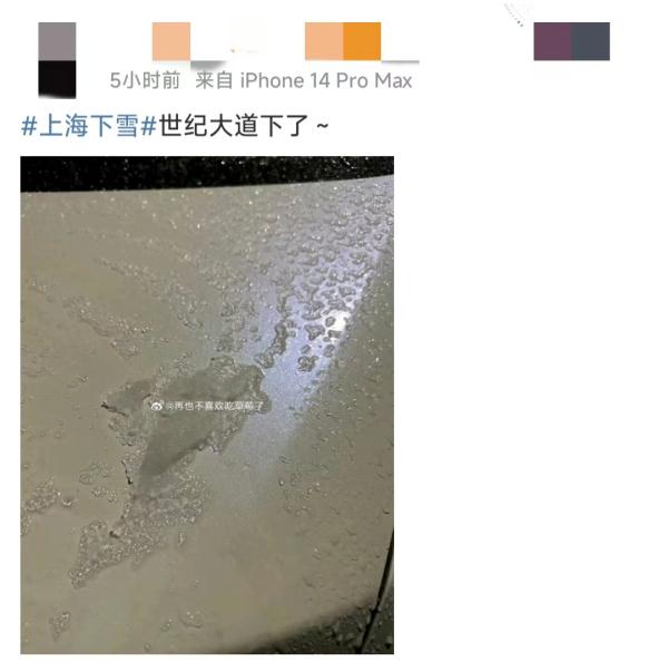 上海今冬的第一场雪来了，又好像没来！