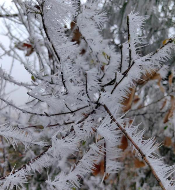 多地出现凝冻天气，气温持续下降，地势高处伴有道路结冰，请注意防范！