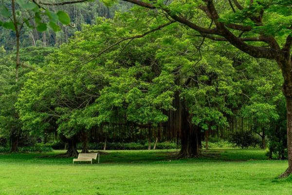 广州小众海景游玩路线！地铁直达山顶看海