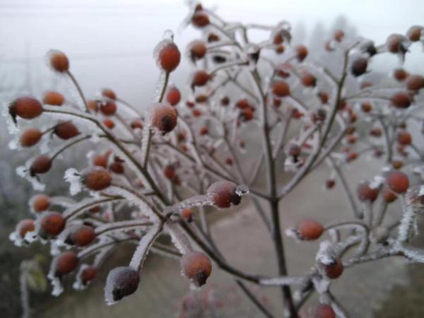 多地出现凝冻天气，气温持续下降，地势高处伴有道路结冰，请注意防范！