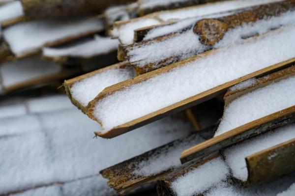 真的实现了!广东下雪了! 真的实现了!广东下雪了!