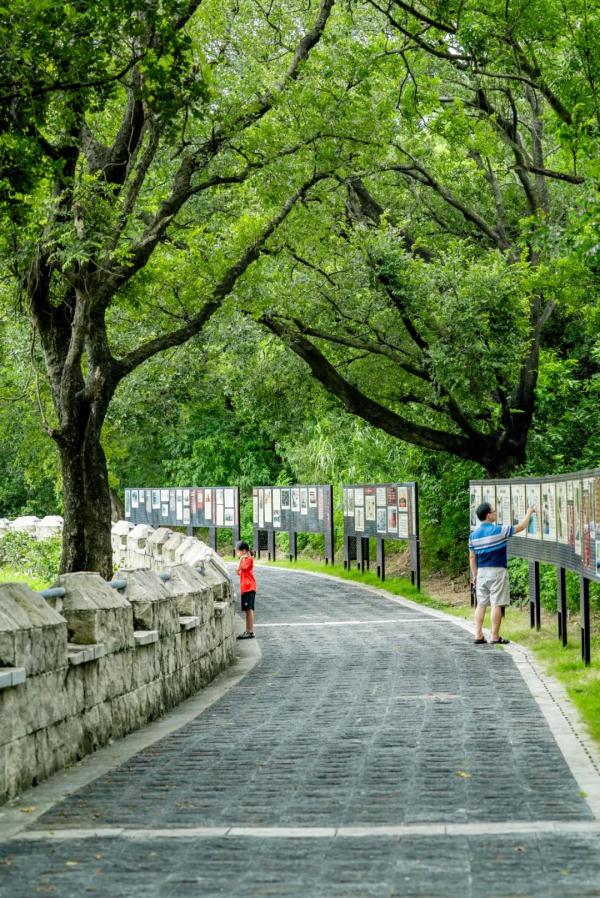 广州小众海景游玩路线！地铁直达山顶看海