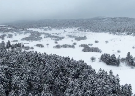 仙女山金佛山下雪啦！银装素裹宛如童话世界