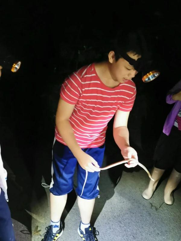 这位男孩“不得了”！近十年发现18个重庆物种新记录