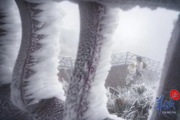 真的实现了!广东下雪了! 真的实现了!广东下雪了!
