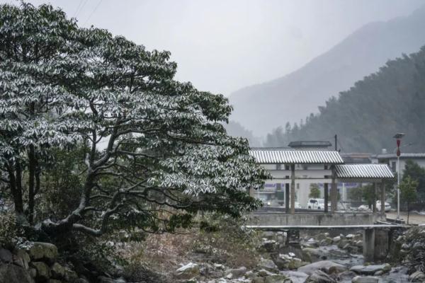 真的实现了!广东下雪了! 真的实现了!广东下雪了!