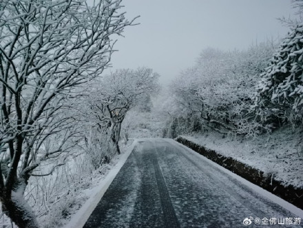 仙女山金佛山下雪啦！银装素裹宛如童话世界